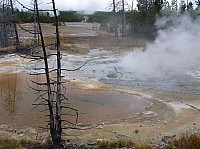 Yellowstone Norris Geyser (94).JPG